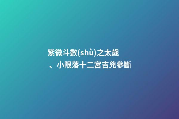 紫微斗數(shù)之太歲、小限落十二宮吉兇參斷